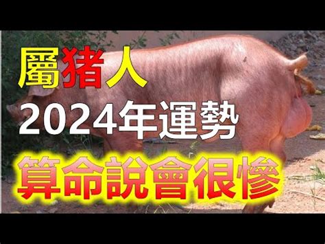 2024豬運勢|2024年屬豬人全年整體運勢詳解